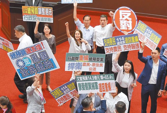 前立委郭正亮透露，自己的外国朋友也对朝野为了《禁伐补偿条例》这种小事陷入僵局不解，他并建议，国民党此时应召开国际记者会。图为18日蓝白立委联手挡下总预算案。（中时资料照）