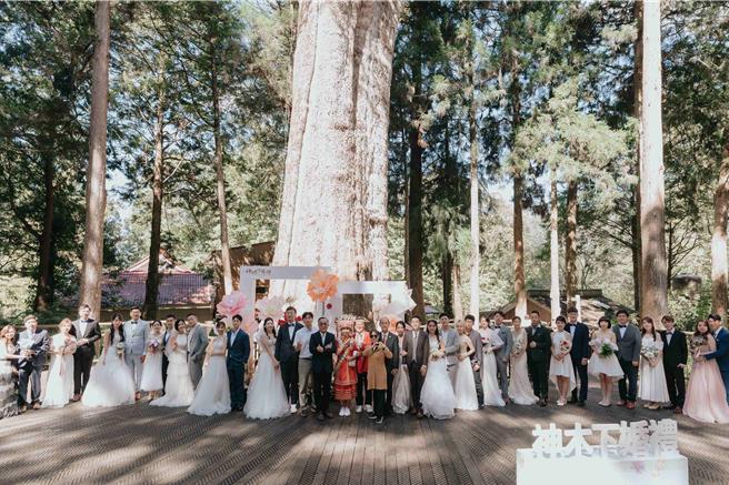 迈入第18届的神木下婚礼，20日、21日两天在阿里山登场，今17对新人在阿里山国家森林游乐区内香林神木平台上完成浪漫又盛大仪式。(阿里山管理处提供／吕妍庭嘉义传真)
