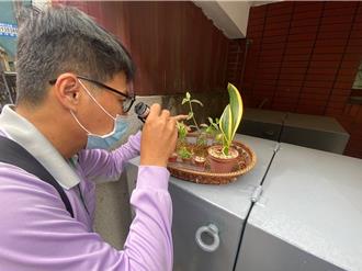 男子遊泰國、印度染屈公病 台南確診第2例