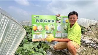 後壁農友打團體戰 建立「哈米族」品牌 推廣洋香瓜
