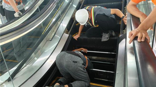 厂商和嘉义县家畜疾病防治所动物管制队「拆梯救猫」。(嘉义县家畜疾病防治所提供／吕妍庭嘉义传真)