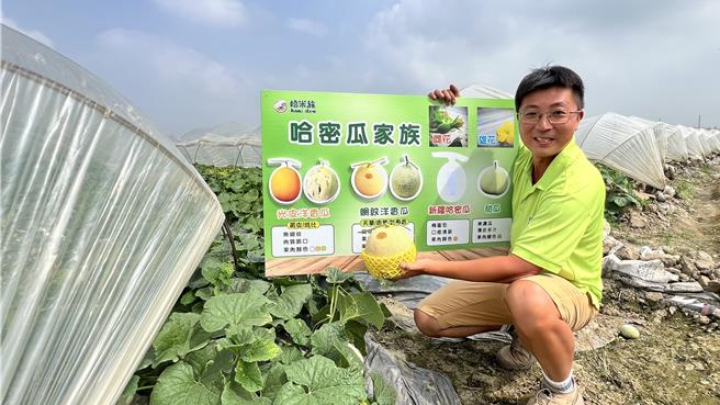 台南後壁瓜農張巍騰與一群志同道合的瓜農和稻農，去年在公所及農會的輔導下，建立「哈米族」品牌推廣在地洋香瓜產業。（張毓翎攝）