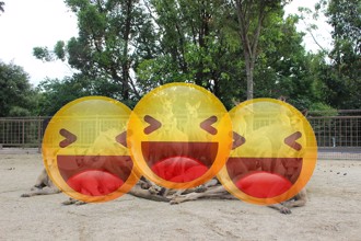 動物園內驚見此景！ 氣勢驚人如「女子天團」 日網：可出道了