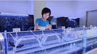 抢攻亲子商机 水族馆Xpark推限定活动