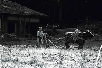 李康生全裸拍戲冷到「那裡縮很小」 騎背上慘遭甩下摔傷