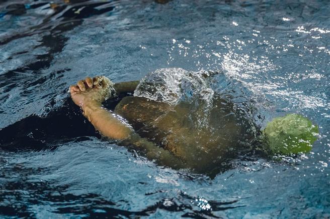  学员模拟双手被缚状况，实施水中求救生训练。（记者陈怡璇摄）