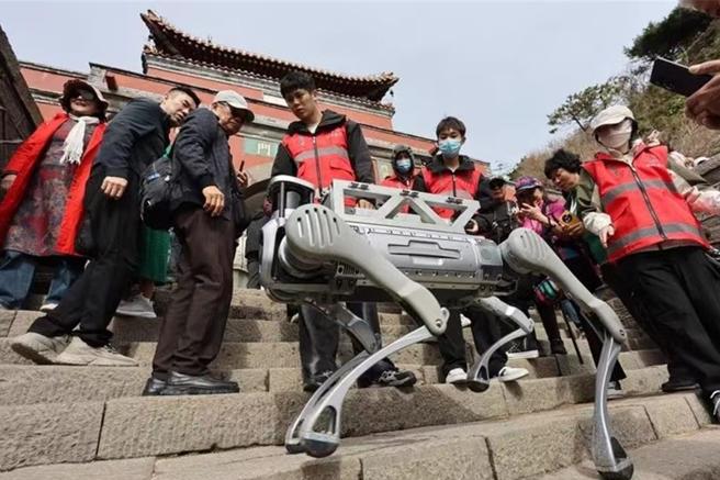 图为正在泰山进行测试的机器狗。（新华社）