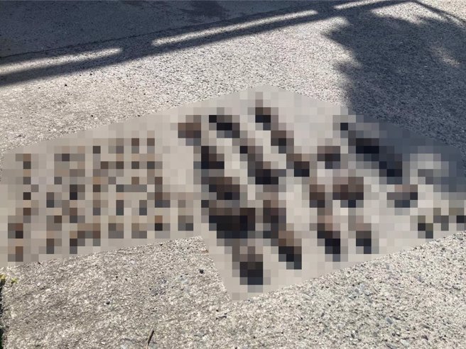 台东县内农地近期发生多起毒鸟事件，县府吁友善驱鸟。（台东县政府提供／蔡旻妤台东传真）