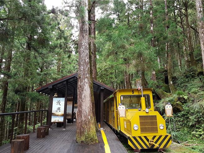 宜兰太平山国家森林游乐区高人气设施蹦蹦车，因凯米颱风影响，目前提供局部路段復驶。（林业保育署宜兰分署提供／吴佩蓉宜兰传真）