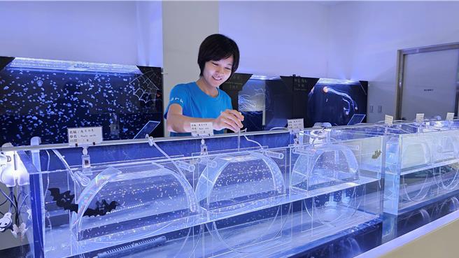 Xpark饲育员们透露生物宝宝们的成长小故事。（Xpark提供）