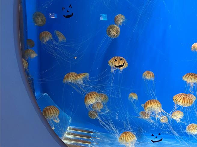 Happy Halloween 惊喜进行中。（Xpark提供）