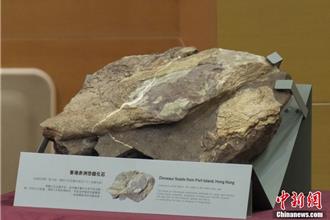 香港首次發現恐龍化石！專家證實距今約1.45億年前