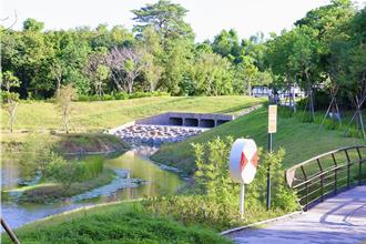 台南竹溪变身！打造「哈赫拿尔森林公园」成市区最后秘境