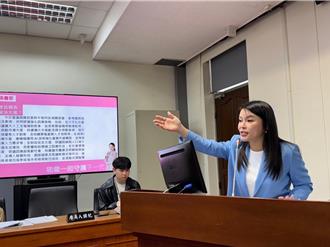 藍委籲借鏡國際經驗解少子化  國發會：思考單身人工受孕