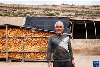 山楂紅了！陸優化供水  農業經濟長「翅膀」