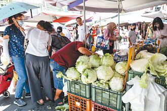 專家傳真－借鏡日本 減少物價聞風遇雨飆漲