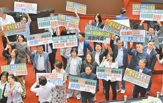 總預算朝野協商 千人立院挺藍