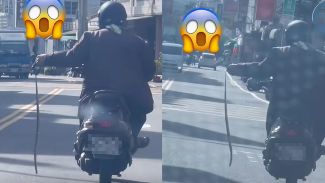 一位阿伯骑机车右手催油门，左手抓着一只活生生的蛇。（翻摄社头人俱乐部）