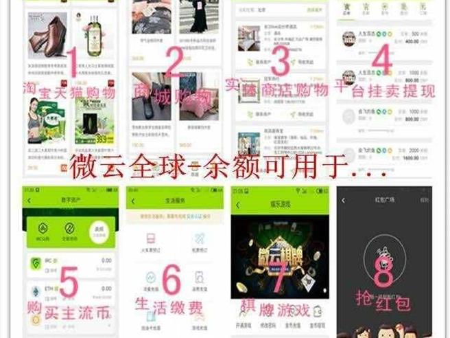 罗姓夫妻招揽亲友加入大陆的「微云全球」投资平台，被控违反银行法起诉。（翻摄网路画面／郭良杰高雄传真）