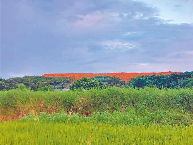 桃园欣荣焚化炉整改期间，部分垃圾暂置杨梅员本掩埋场，地方抱怨苍蝇满天飞。（环保局提供／蔡依珍桃园传真）