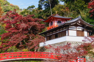 孤獨星球公布2025年最佳旅遊地！日本僅1城市上榜  沒台灣