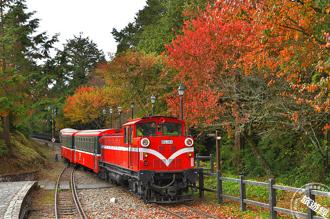 台灣楓葉季將至 5大賞楓目的地＋網友推薦名單大公開