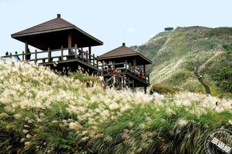 芒花季限定！兩條主題小旅行 探索草嶺古道、九份賞芒秘境