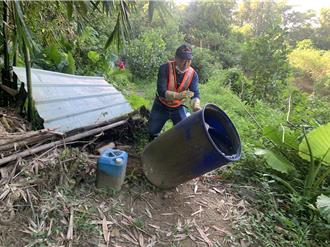 新北再增3例本土登革熱 累計71例擴及4行政區