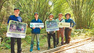 连4年 八色鸟栖息六甲繁殖