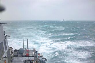 養殖井蛙的民調