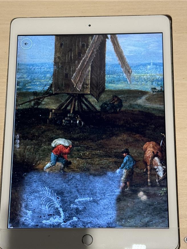 圖為科學檢測顯示畫作圖層下方有獸骨，只是被塗改了。（曹婷婷攝）