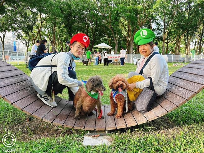 高雄市动保处将于11月16日举办「犬力衝刺障碍赛」，欢迎各界敏捷狗踊跃参与一争高下。（高雄市动保处提供／林雅惠传真）