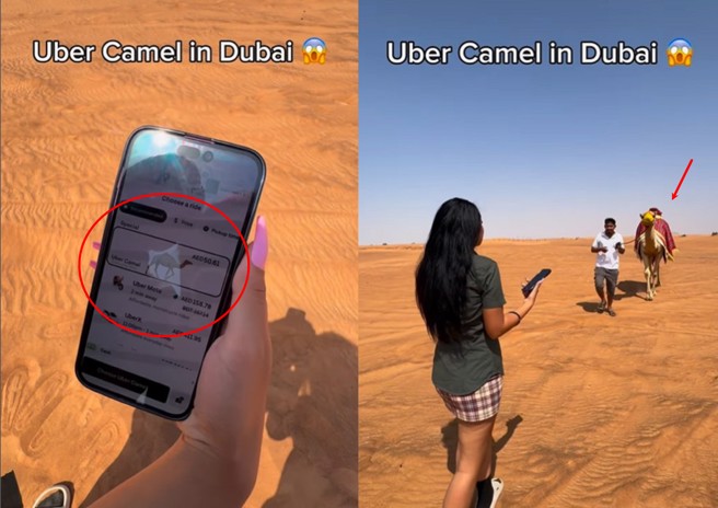 近日2名女子被困在杜拜的沙漠，2人打开Uber后，没想到竟发现可以叫到「骆驼」搭乘。（图／Instagram／@jetset.dubai）