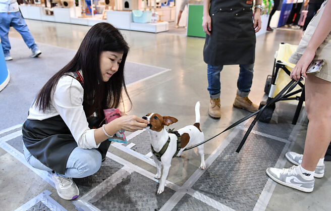 睿生持續拓展工業檢測和動物醫療解決方案，期望拓展應用版圖，帶動營運重拾成長。圖／本報資料照片