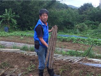 貢寮魏秋林蟬聯新北山藥冠軍 分享栽培秘訣關鍵在土壤