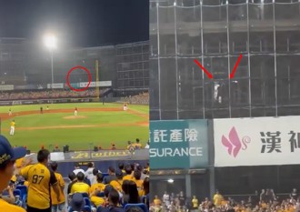 中職冠軍賽旁建案工人一起「炸裂」 網友：買房送免費球賽