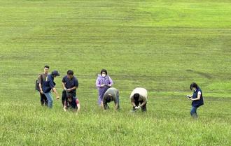 高尔夫球场用毒农药害水源 民代痛批高市府：为何不向市民示警？