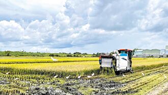 工商社論》從糧食自給率檢視公糧收購政策