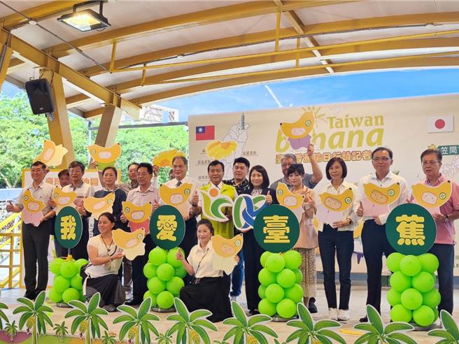 我國過去曾是日本進口香蕉市占率最大的國家，但隨著關稅較競爭國高、日幣貶值等，今年1月至9月外銷至的香蕉只有1278噸、創下近7年來同期新低。（林良齊攝）