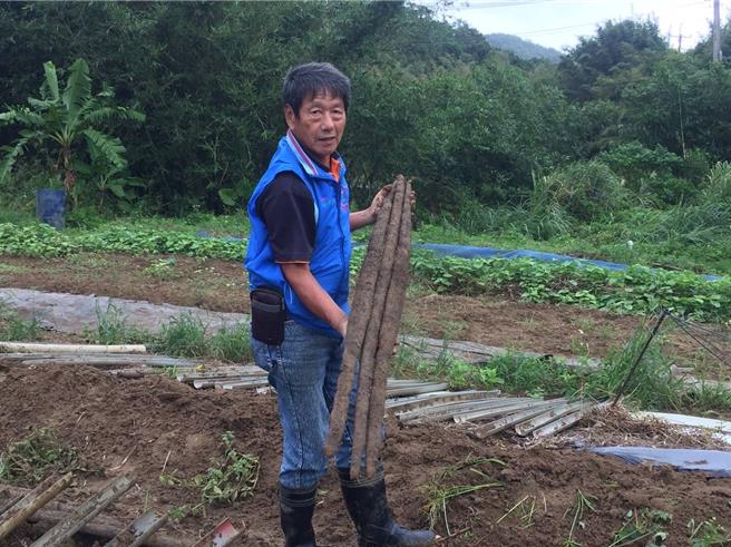 農友魏秋林連續兩年奪得冠軍。（新北市農業局提供）