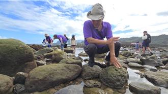 潮境保育區成果公開 公民科學家的生態監測新發現