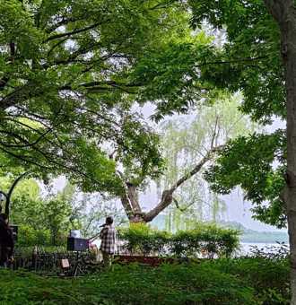 台灣人看大陸》期待與西湖再相遇