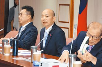 綠營喊協商 在野酸府開記者會