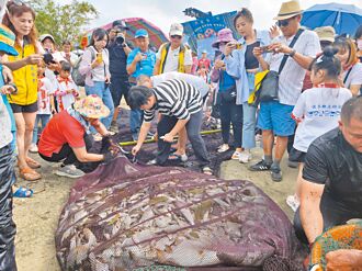 佳冬百人牽罟 傳承捕魚古法
