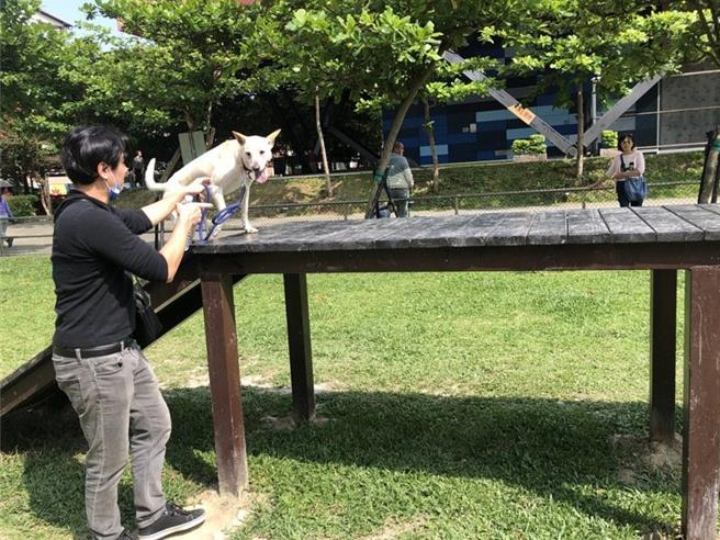 新北市目前有22座宠物公园。（新北市动保处提供）
