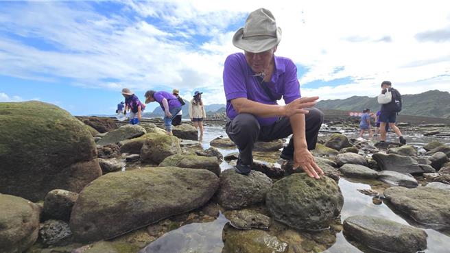 基隆市政府获海保署补助，举行「潮境保育区生态监测与基隆海洋公民科学家培训计画」，结合在地居民与公民科学家，观察并纪录保育区内的生态及物种。（基隆市政府提供／张志康基隆传真）