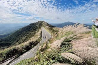 東北角芒花季小旅行開跑 秘境賞芒、吃遍美食泡暖湯
