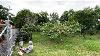 台東市郊果園傳救命聲 警消尋獲結果出人意料