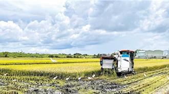 農業生產成本上揚 全國農會籲農業部提高公糧收購價