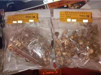 「這一鍋」巴西蘑菇重金屬超標 澎湖海膽也上榜